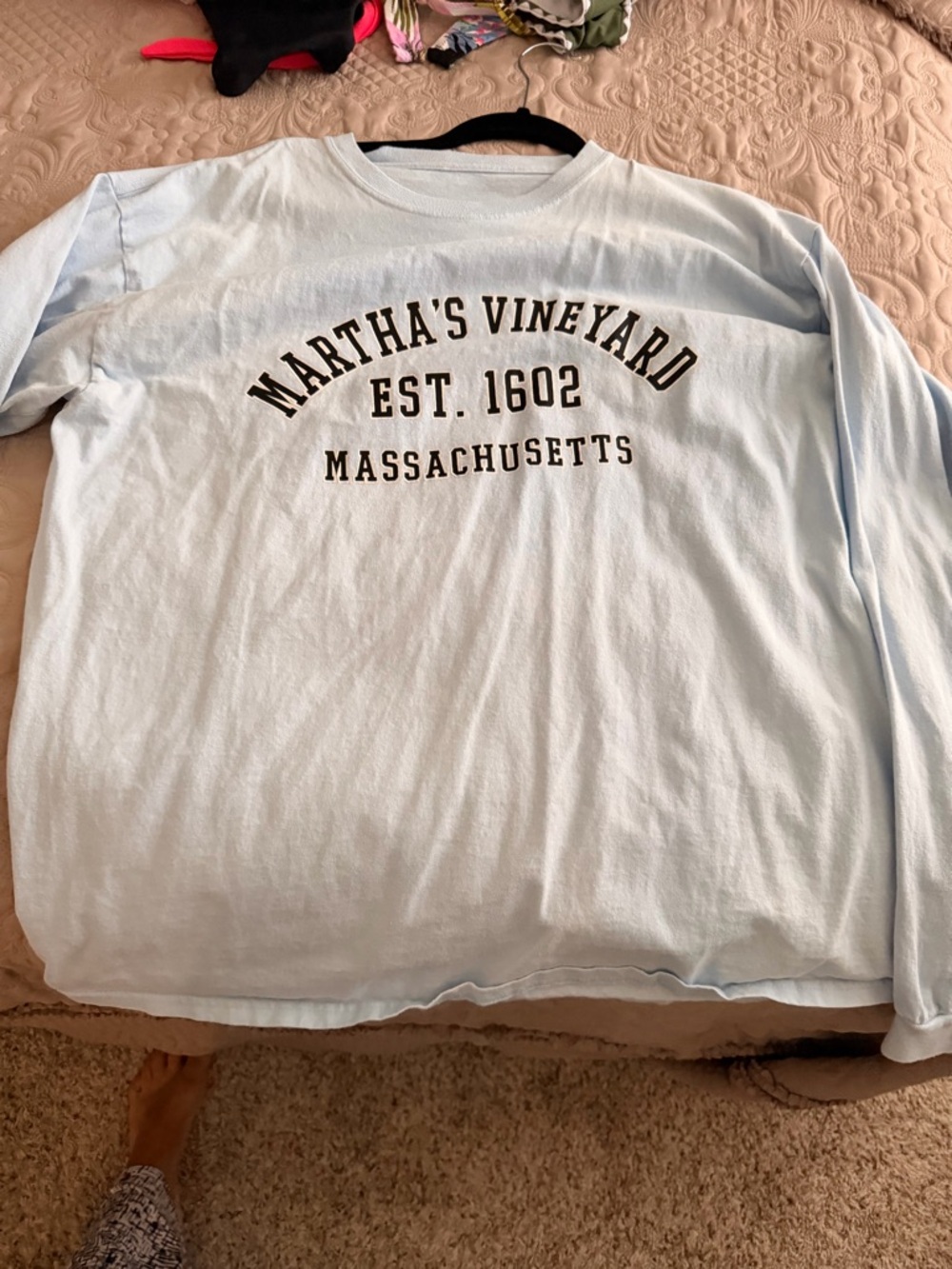 Light Blue Long-Sleeve Tee - Massachusetts Print